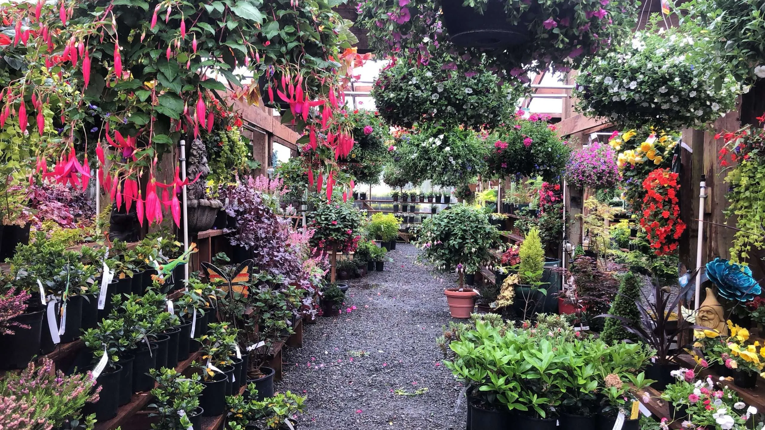 Table full of spices